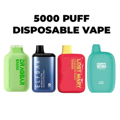 Disposables Vapes