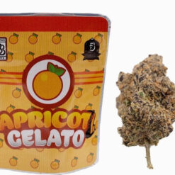 apricot gelato