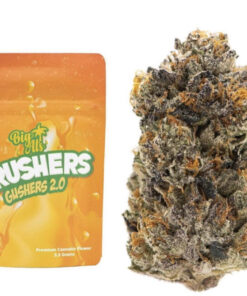 Crushers Gusher 2.0