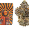e85 strain