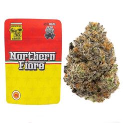 Northern Fiore