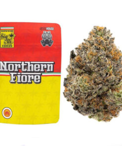 Northern Fiore