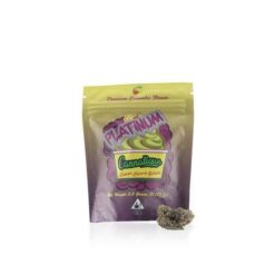 Lemon Cherry Gelato