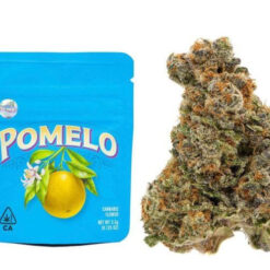 Pomelo