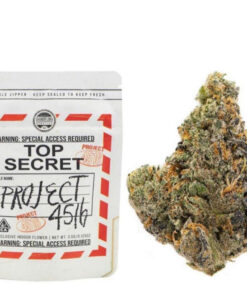 Top Secret Project 4516