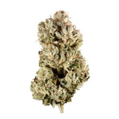 gg4